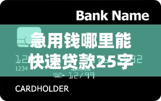 急用钱哪里能快速贷款25字