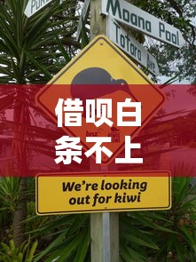 借呗白条不上征信真相解析