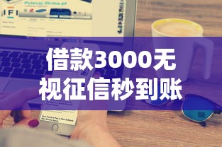 借款3000无视征信秒到账