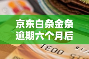 京东白条金条逾期六个月后果严重