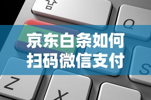 京东白条如何扫码微信支付教程