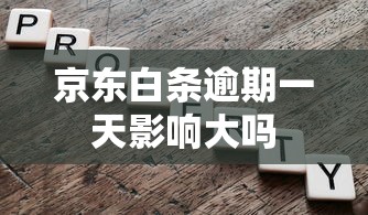 京东白条逾期一天影响大吗