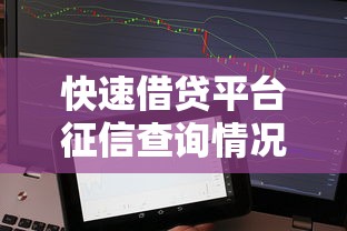 快速借贷平台征信查询情况解析