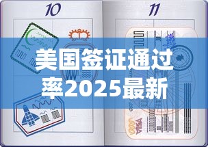 美国签证通过率2025最新数据