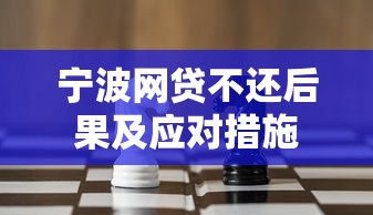 宁波网贷不还后果及应对措施