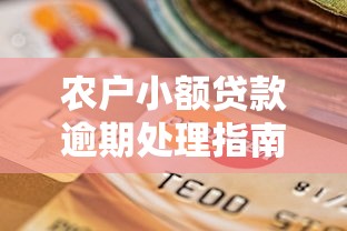 农户小额贷款逾期处理指南