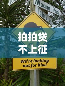 拍拍贷不上征信的三大原因解析