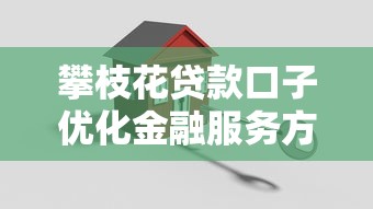 攀枝花贷款口子优化金融服务方案