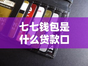 七七钱包是什么贷款口子