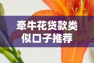 牵牛花贷款类似口子推荐
