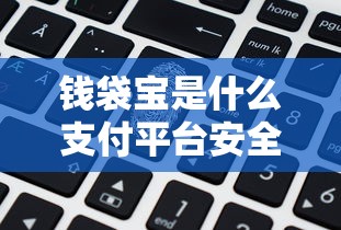 钱袋宝是什么支付平台安全吗