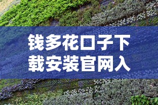 钱多花口子下载安装官网入口