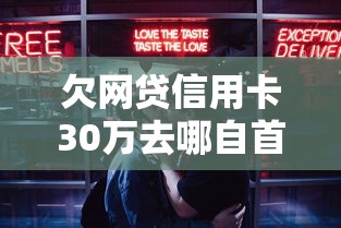 欠网贷信用卡30万去哪自首