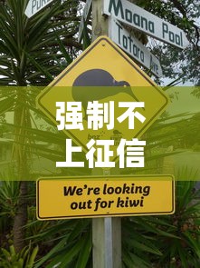 强制不上征信的后果与影响