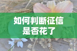 如何判断征信是否花了