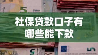 社保贷款口子有哪些能下款
