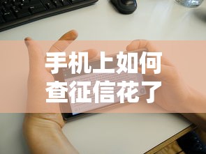 手机上如何查征信花了教程