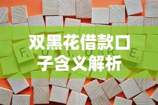 双黑花借款口子含义解析