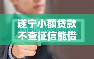 遂宁小额贷款不查征信能借吗