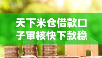 天下米仓借款口子审核快下款稳