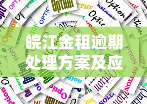 皖江金租逾期处理方案及应对措施