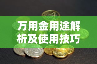 万用金用途解析及使用技巧大全