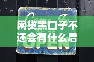 网贷黑口子不还会有什么后果