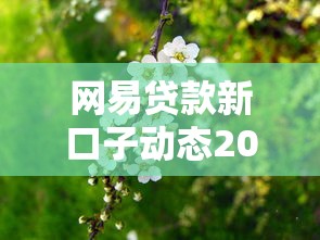 网易贷款新口子动态2024最新借款渠道一览