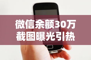 微信余额30万截图曝光引热议