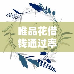 唯品花借钱通过率实测分析