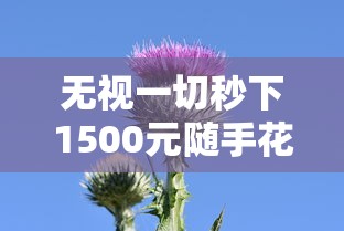 无视一切秒下1500元随手花神器