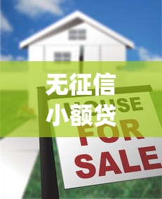 无征信小额贷款app快速放款指南