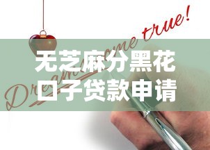 无芝麻分黑花口子贷款申请指南