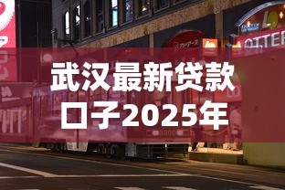 武汉最新贷款口子2025年速批通道