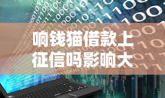 响钱猫借款上征信吗影响大吗