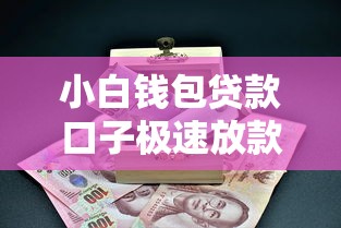 小白钱包贷款口子极速放款流程