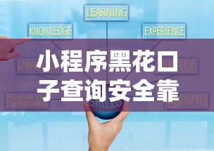 小程序黑花口子查询安全靠谱吗