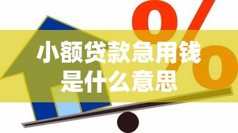 小额贷款急用钱是什么意思