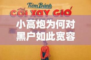 小高炮为何对黑户如此宽容