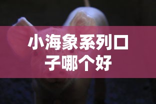 小海象系列口子哪个好