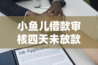 小鱼儿借款审核四天未放款原因解析