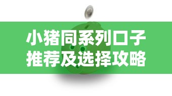 小猪同系列口子推荐及选择攻略
