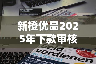 新橙优品2025年下款审核全解析