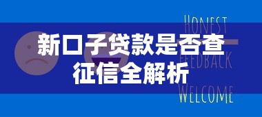 新口子贷款是否查征信全解析
