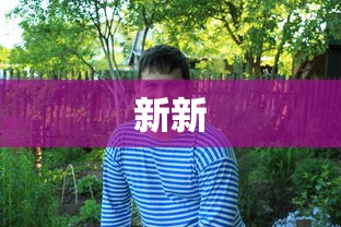 新新