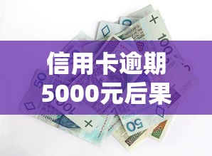 信用卡逾期5000元后果及应对方法
