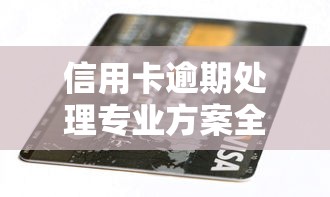 信用卡逾期处理专业方案全解析