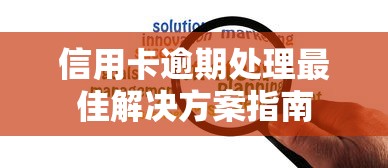 信用卡逾期处理最佳解决方案指南