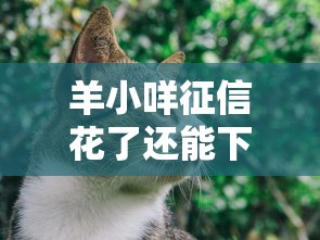 羊小咩征信花了还能下款吗