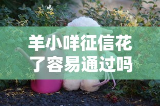 羊小咩征信花了容易通过吗